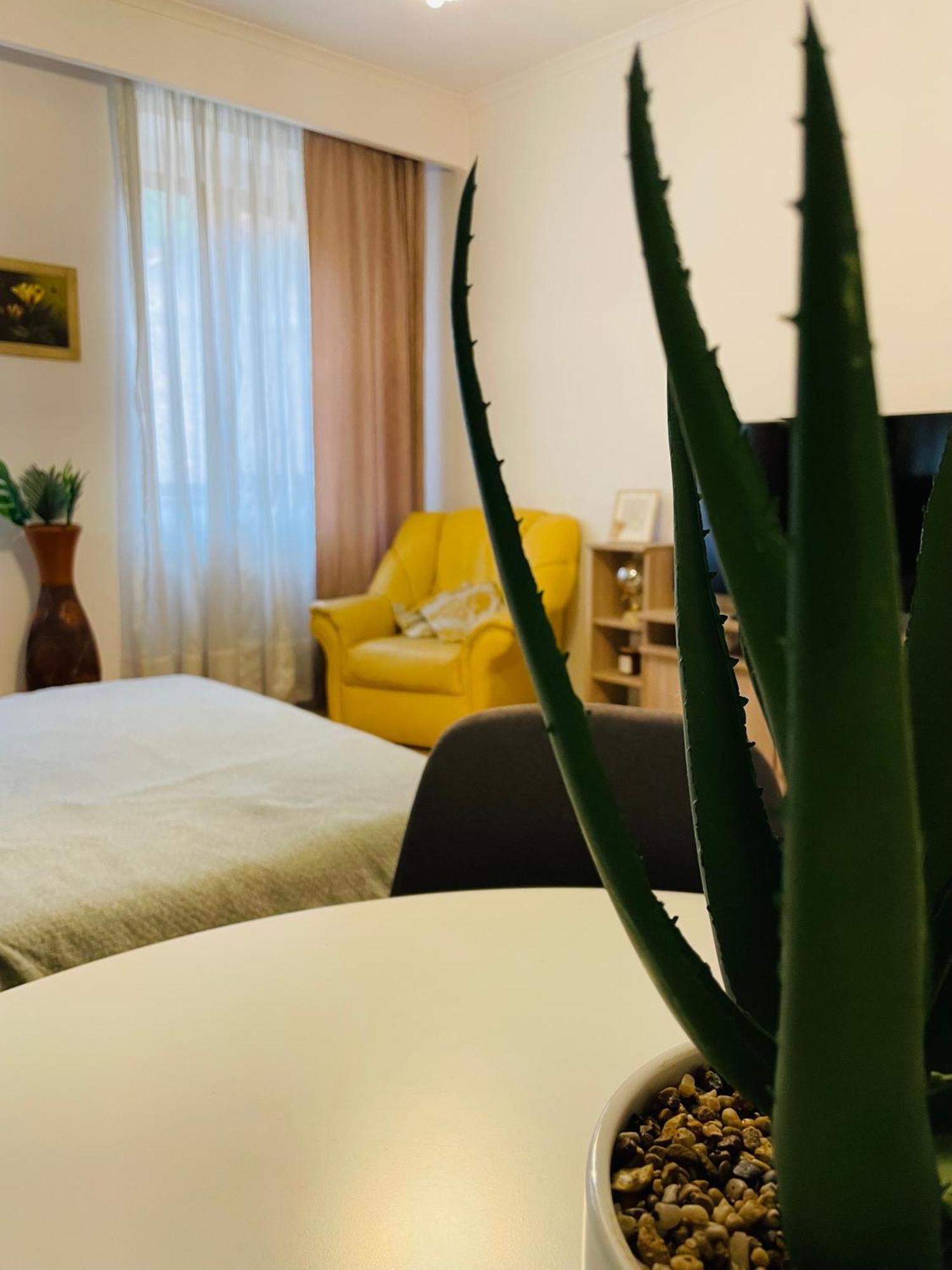 Postavarului Residence Braşov Eksteriør billede